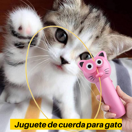 Rope toy for cat ⭐⭐⭐⭐⭐