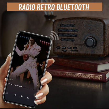 Radio GOLDEN CLASSIC Portátil AM-FM-SW + ENVÍO GRATIS